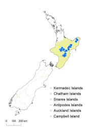 Veronica hookeriana distribution map based on databased records at AK, CHR & WELT.
 Image: K.Boardman © Landcare Research 2022 CC-BY 4.0